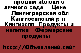 продам яблоки с личного сада  › Цена ­ 35 - Ленинградская обл., Кингисеппский р-н, Кингисепп  Продукты и напитки » Фермерские продукты   